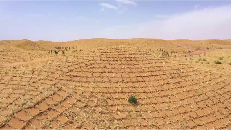 China_s_Straw_Checkerboards_Pioneer_Global_Desert_Control_Efforts - Khabar Asia China_s_Straw_Checkerboards_Pioneer_Global_Desert_Control_Efforts
