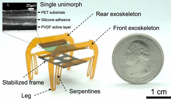 Chinese Scientists Unveil ‘Electronic Cockroach’ Microbot for Rescue Missions Chinese_Scientists_Unveil__Electronic_Cockroach__Microbot_for_Rescue_Missions