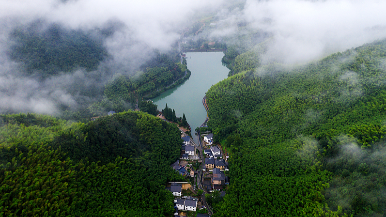 Discover Luhuadang: Mogan Mountain’s Summer Sanctuary Unveiled Discover_Luhuadang__Mogan_Mountain_s_Summer_Sanctuary_Unveiled video poster