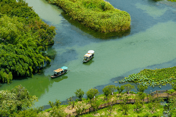 Discover Serenity at Xixi National Wetland Park in Hangzhou Discover_Serenity_at_Xixi_National_Wetland_Park_in_Hangzhou video poster