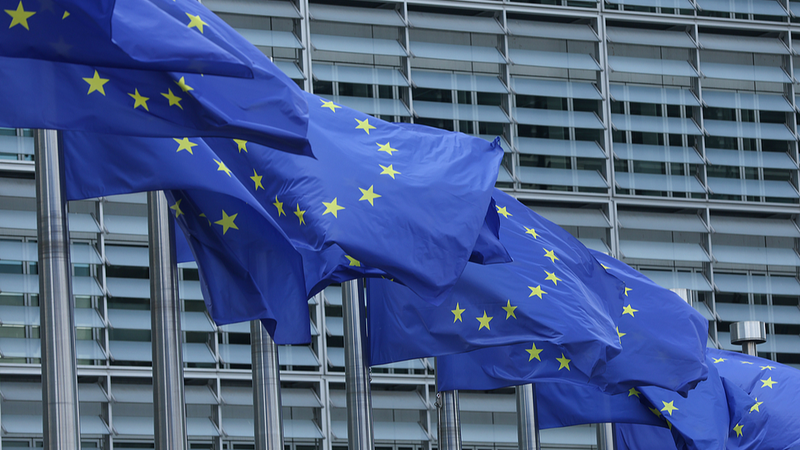 EU_U_S__Trade_Deal_Sparks_Concerns_Over_Economic_Imbalance__Expert_Warns