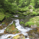 Explore_Qianjiangyuan__Zhejiang_s_Natural_Oxygen_Bar_Revealed_poster - Khabar Asia Explore_Qianjiangyuan__Zhejiang_s_Natural_Oxygen_Bar_Revealed video poster