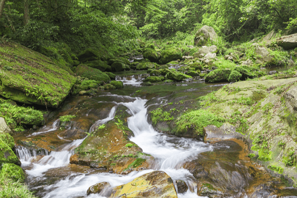 Explore Qianjiangyuan: Zhejiang’s Natural Oxygen Bar Revealed Explore_Qianjiangyuan__Zhejiang_s_Natural_Oxygen_Bar_Revealed video poster