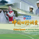 GK5MJG6XJFN4XFVWL37V - Khabar Asia China’s Green Innovations: Bamboo, Clean Energy & West Lake’s Guardians video poster