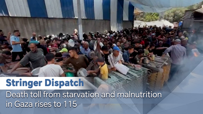 Gaza_Famine_Reaches_Crisis_Level__UN_Reports_Unprecedented_Suffering video poster