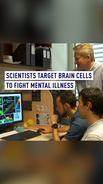 Hungarian Breakthrough: Brain Cell Discovery Offers New Hope for Depression Treatment Hungarian_Breakthrough__Brain_Cell_Discovery_Offers_New_Hope_for_Depression_Treatment video poster