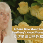 Danish Hero’s Nanjing Rescue: A Niece’s Tribute to Sindberg’s Legacy video poster