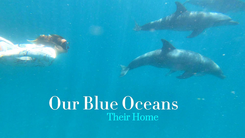 Kenyan_British_Artist_Megan_White_Champions_Ocean_Conservation_at_UN_80 video poster