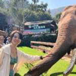 LECNK731Z7M0C9A63SJ5 - Khabar Asia A Global Journey Through China’s Natural Wonders