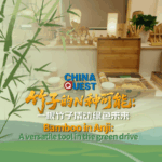 PPERH790GDG6C54FPKUY - Khabar Asia Bamboo Revolution: Anji’s Green Innovation Inspires Global Sustainability video poster