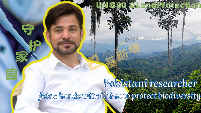 Pakistani-Chinese Team Unites to Safeguard Biodiversity Pakistani_Chinese_Team_Unites_to_Safeguard_Biodiversity video poster