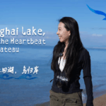 Qinghai_Lake__Where_Nature_and_Culture_Pulse_as_One_poster - Khabar Asia Qinghai_Lake__Where_Nature_and_Culture_Pulse_as_One video poster