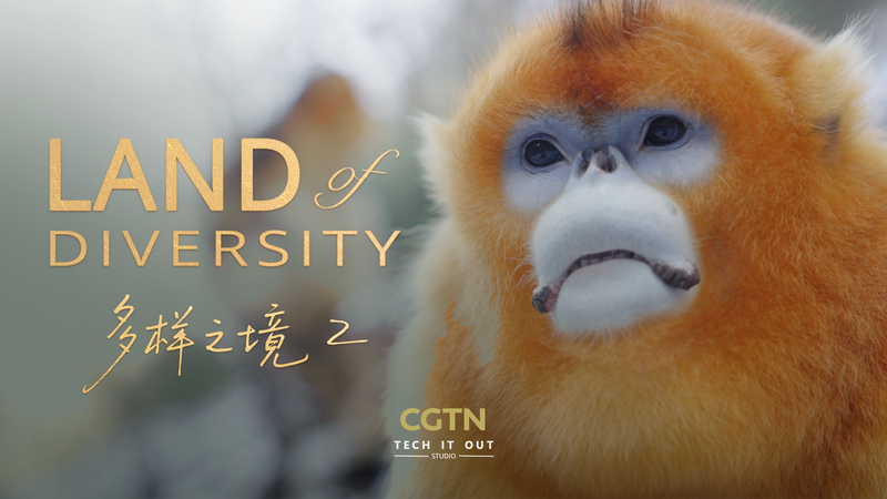 Qinling Mountains: A Model for Human-Wildlife Coexistence Qinling_Mountains__A_Model_for_Human_Wildlife_Coexistence video poster