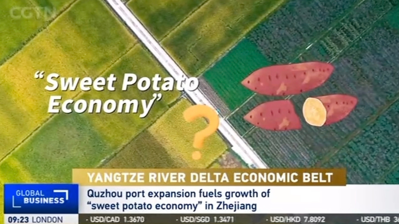 Quzhou’s ‘Sweet Potato Economy’ Fuels Regional Growth in Zhejiang Quzhou_s__Sweet_Potato_Economy__Fuels_Regional_Growth_in_Zhejiang video poster