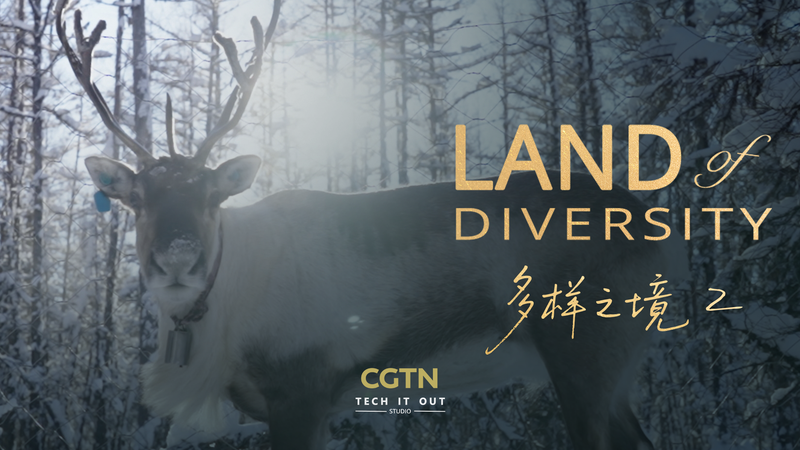 Reindeer and Resilience: The Evenki’s Frozen Legacy in China’s Wilderness Reindeer_and_Resilience__The_Evenki_s_Frozen_Legacy_in_China_s_Wilderness video poster