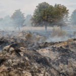 Russian_Forces_Push_Toward_Key_Ukrainian_Town_as_South_Africa_Urges_Peace_Talks