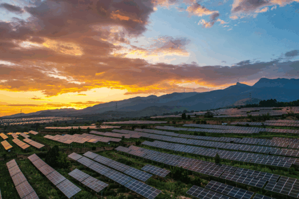 Rwandan Solar Innovator Paves Way for Sustainable Energy Future Rwandan_Solar_Innovator_Paves_Way_for_Sustainable_Energy_Future