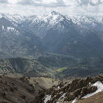 SCO_Advances_Climate_Cooperation_with_Green_Belt_Initiatives