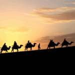 SCO_Nations_Unite_to_Protect_Silk_Road_Heritage
