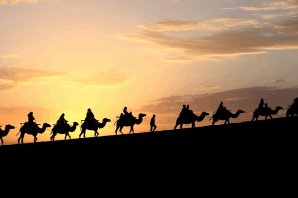SCO Nations Unite to Protect Silk Road Heritage SCO_Nations_Unite_to_Protect_Silk_Road_Heritage