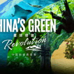 China’s Green Revolution: Grassroots Efforts Reshape Landscapes video poster