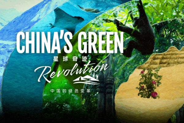 China’s Green Revolution: Grassroots Efforts Reshape Landscapes China’s Green Revolution: Grassroots Efforts Reshape Landscapes video poster