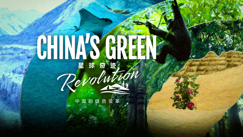 SL1TY4TRCVGC1709GMV7 - Khabar Asia China’s Green Revolution: Grassroots Efforts Reshape Landscapes video poster