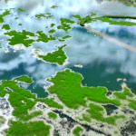 Scientist_Reveals_Secrets_of_Xizang_s__Lungs_of_Lhasa__Wetland_poster - Khabar Asia Scientist_Reveals_Secrets_of_Xizang_s__Lungs_of_Lhasa__Wetland video poster