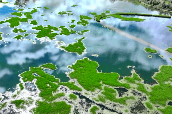 Scientist Reveals Secrets of Xizang’s ‘Lungs of Lhasa’ Wetland Scientist_Reveals_Secrets_of_Xizang_s__Lungs_of_Lhasa__Wetland video poster