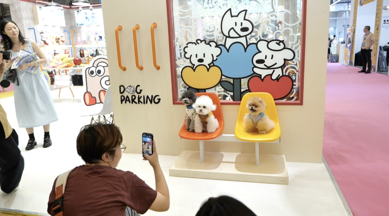 Shanghai Hosts Asia’s Largest ‘Fluffy’ Pet Fair: Record-Breaking Crowds Expected Shanghai_Hosts_Asia_s_Largest__Fluffy__Pet_Fair__Record_Breaking_Crowds_Expected video poster