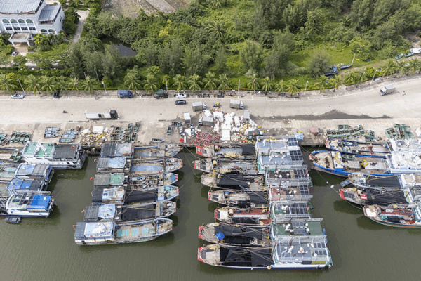 South_China_Braces_for_Typhoon_Kajiki_as_Coastal_Provinces_Activate_Emergency_Measures