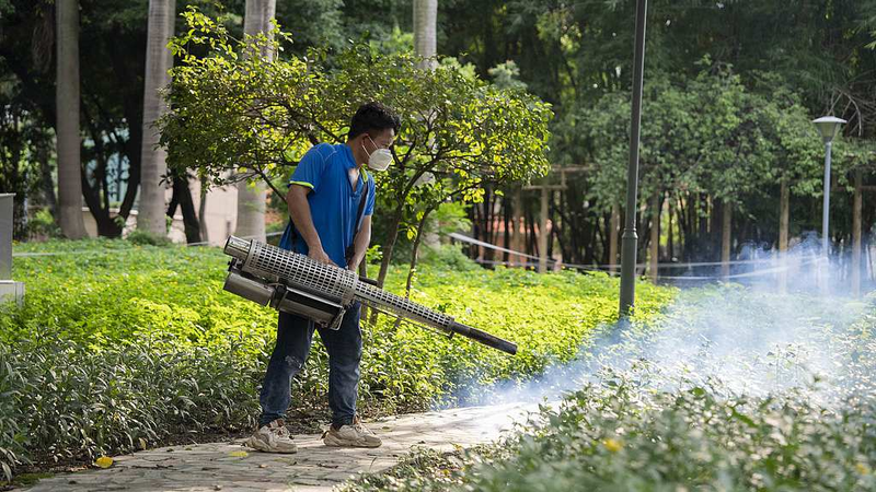 South China Sees Decline in Chikungunya Cases Amid Targeted Measures South_China_Sees_Decline_in_Chikungunya_Cases_Amid_Targeted_Measures