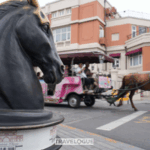 Tianjin_s_Five_Great_Avenues__Where_History_Meets_Modern_Charm - Khabar Asia Tianjin_s_Five_Great_Avenues__Where_History_Meets_Modern_Charm