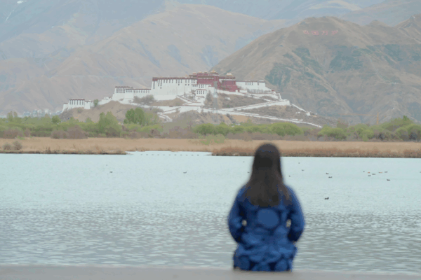 Tibetan Educator Champions Equality in Xizang’s Rural Schools Tibetan_Educator_Champions_Equality_in_Xizang_s_Rural_Schools video poster
