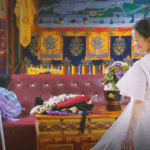 Tibetan_Girl_s_Runway_Dream_Blossoms_in_Highland_Barley_Fields video poster