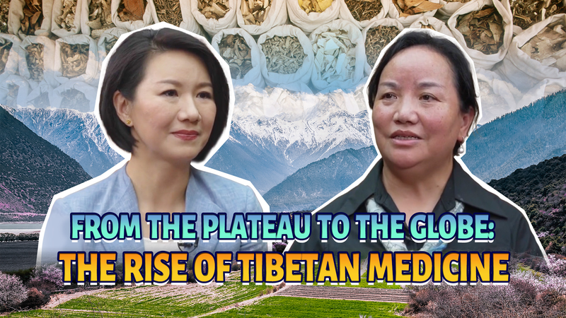 Tibetan Medicine Gains Global Footprint After Modern Evolution Tibetan_Medicine_Gains_Global_Footprint_After_Modern_Evolution video poster
