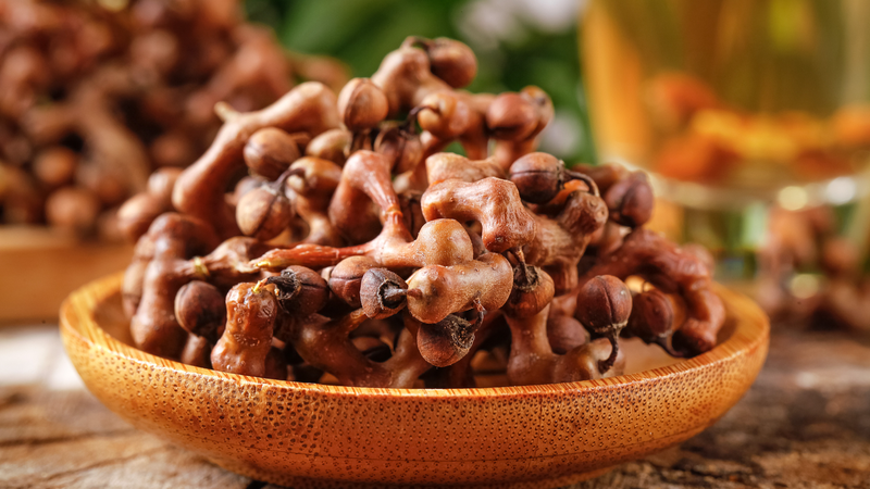 China’s ‘Two Mountains’ Philosophy Transforms Rural Economies and Ecology