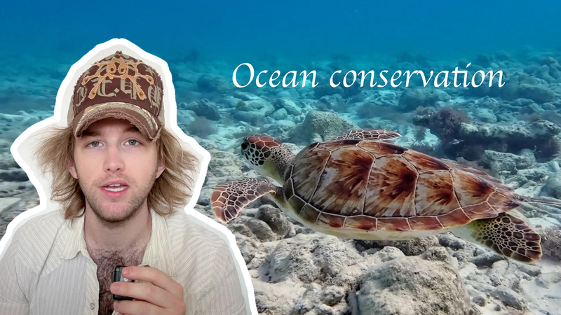 UN_80__American_Vlogger_Urges_Global_Unity_for_Ocean_Conservation video poster