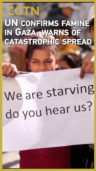 UN_Declares_Famine_in_Gaza_Amid_Catastrophic_Humanitarian_Crisis video poster
