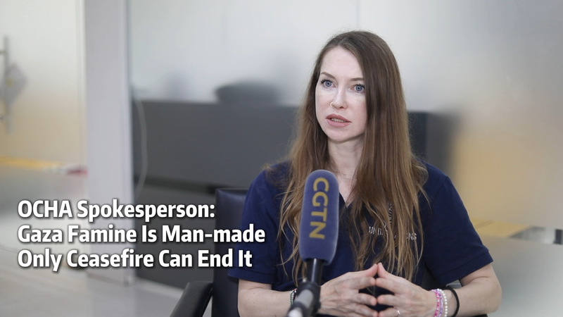 UN: Gaza Famine ‘Man-Made,’ Ceasefire Key to Resolution UN__Gaza_Famine__Man_Made___Ceasefire_Key_to_Resolution video poster