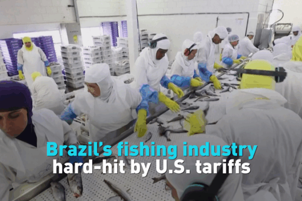U.S. Tariffs Ripple Through Brazil’s Fishing Industry U_S__Tariffs_Ripple_Through_Brazil_s_Fishing_Industry video poster