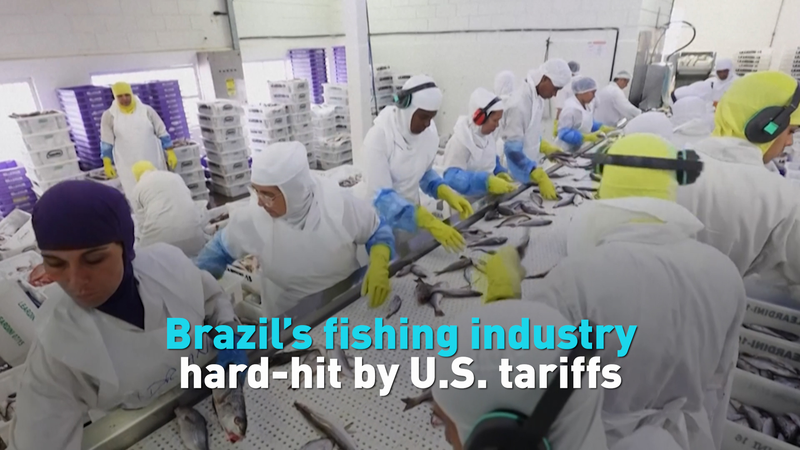 U_S__Tariffs_Ripple_Through_Brazil_s_Fishing_Industry video poster