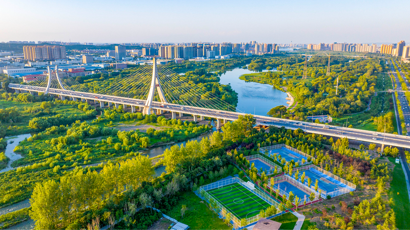 WWF Hails China’s Green Vision as Global Climate Model WWF_Hails_China_s_Green_Vision_as_Global_Climate_Model