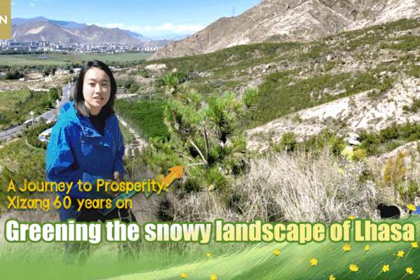 Xizang_Marks_60_Years__From_Peaks_to_Prosperity video poster