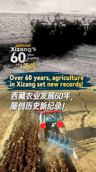 Xizang_s_Agricultural_Revolution__60_Years_of_Record_Growth_poster - Khabar Asia Xizang_s_Agricultural_Revolution__60_Years_of_Record_Growth video poster