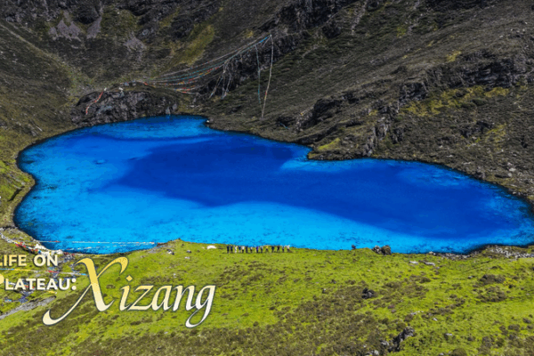 Xizang’s Gurula Co: From Hidden Gem to Viral Eco-Tourism Hotspot Xizang_s_Gurula_Co__From_Hidden_Gem_to_Viral_Eco_Tourism_Hotspot