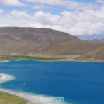 Xizang_s_Yaks_and_Highland_Farms_Thrive_by_Yamzhog_Yumco_Lake