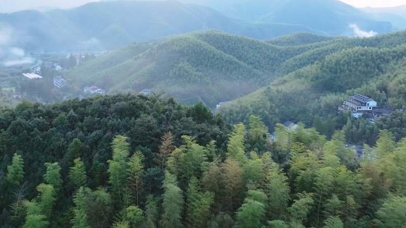 Discover Moganshan: China’s Scenic ‘Hamptons’ Near Shanghai Discover Moganshan: China’s Scenic ‘Hamptons’ Near Shanghai video poster