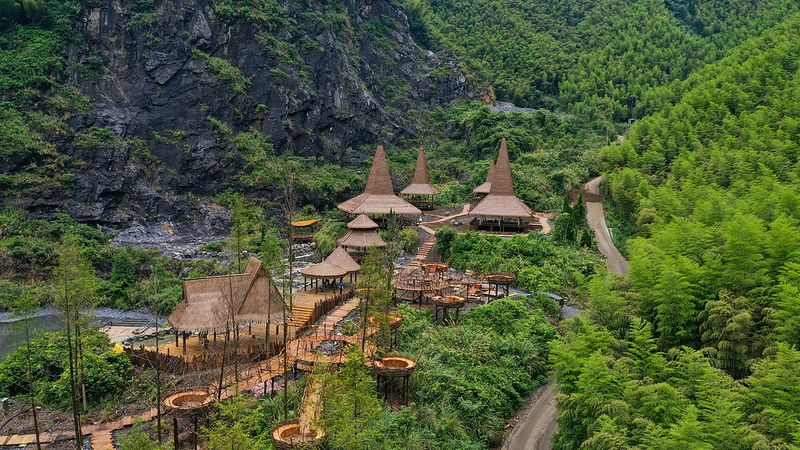 China’s Carbon Market Transforms Bamboo Forests into Economic Goldmines China’s Carbon Market Transforms Bamboo Forests into Economic Goldmines