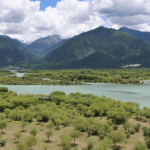 Yani_Wetland__Tibet_s_Thriving_Oasis_at_3_000_Meters